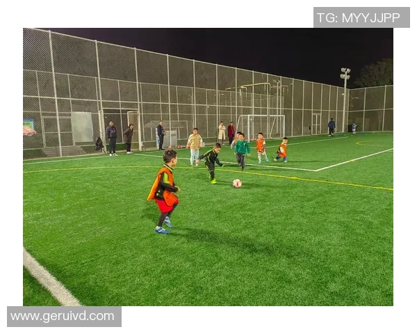 足球裁判与球星风云际会 聚焦绿茵场上的精彩对决与裁判判罚的微妙影响